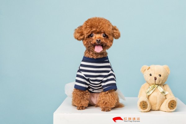 疫情期間香港商品如何轉運到湖北隨州呢？